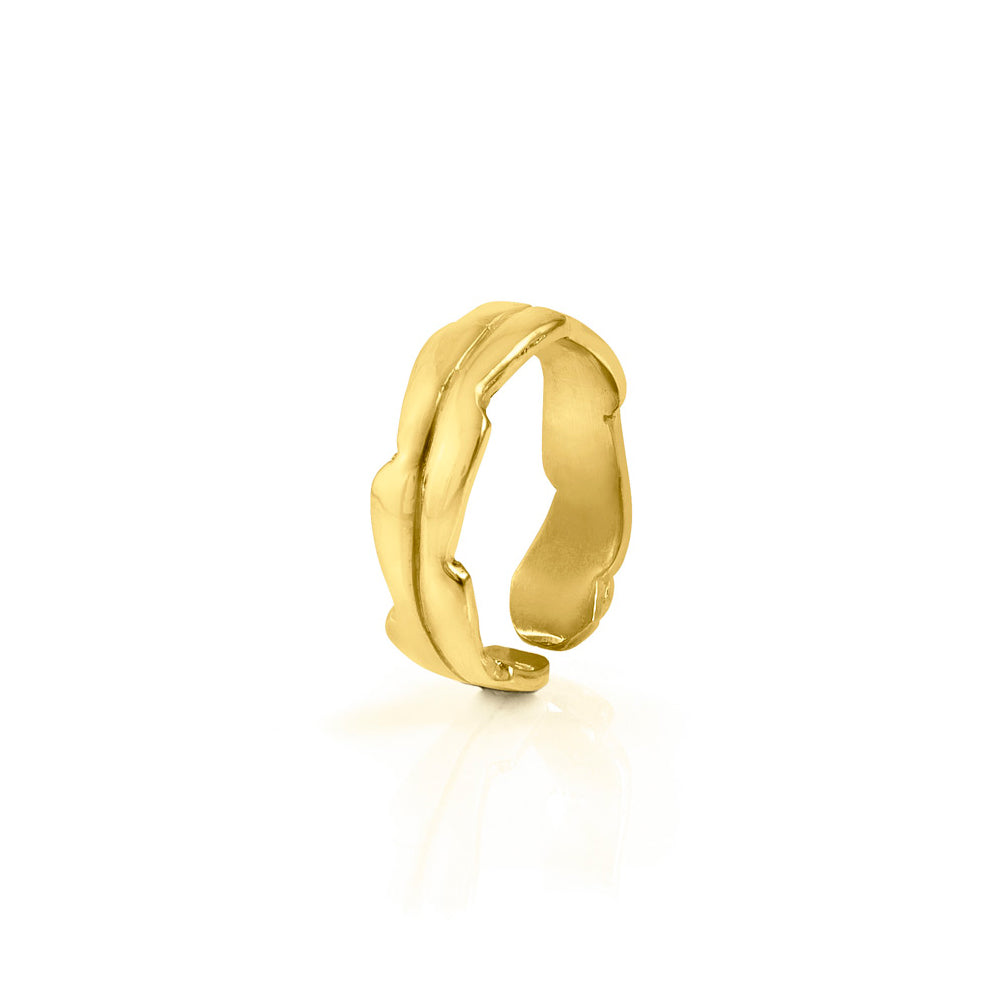 Gold-plated Pitaya ring